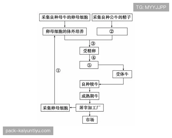 违规换人的判罚依据与裁判处理流程 违规换人的判罚依据与裁判处理流程